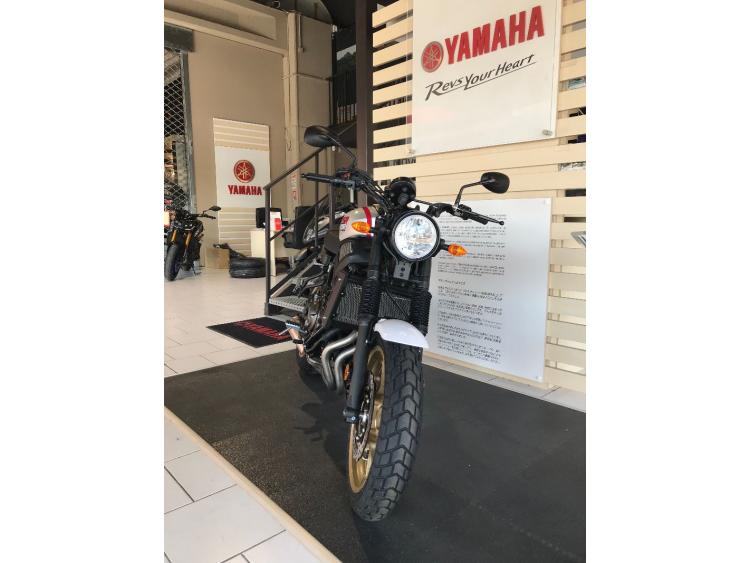 XSR700 XTribute
